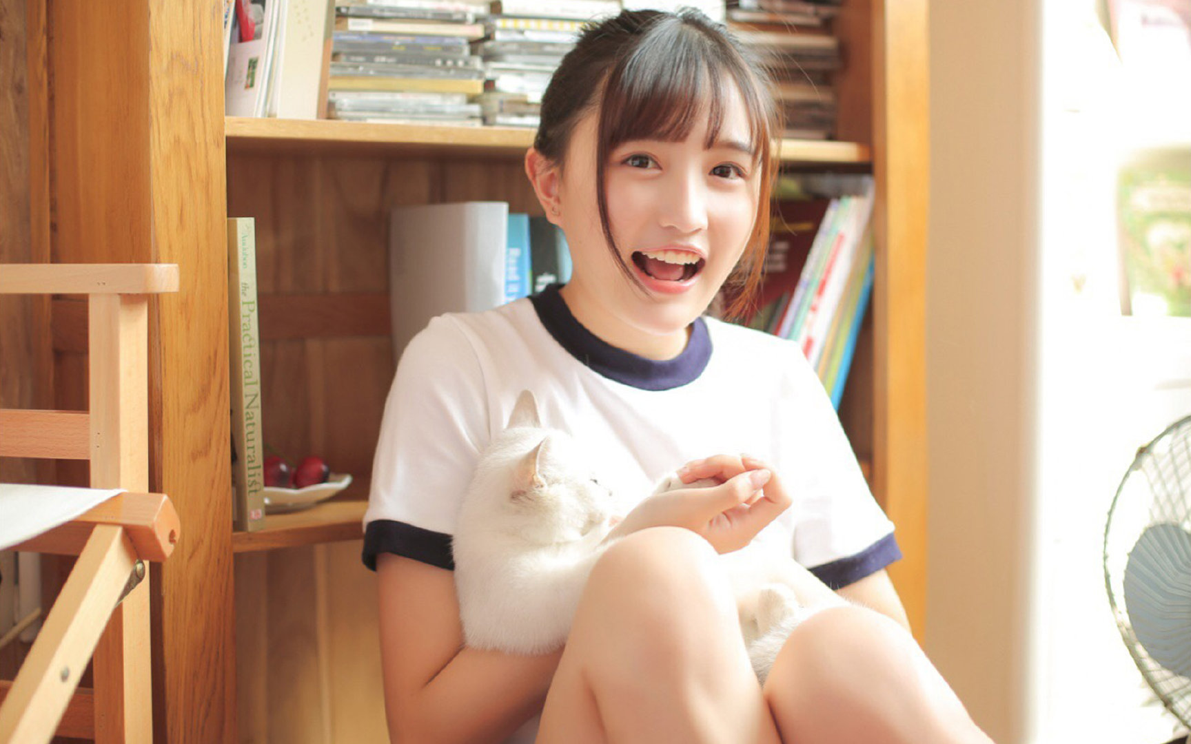 leyu乐鱼-冰岛队实现欧洲杯正赛资格，成为黑马热门，冰岛足球队 欧洲杯