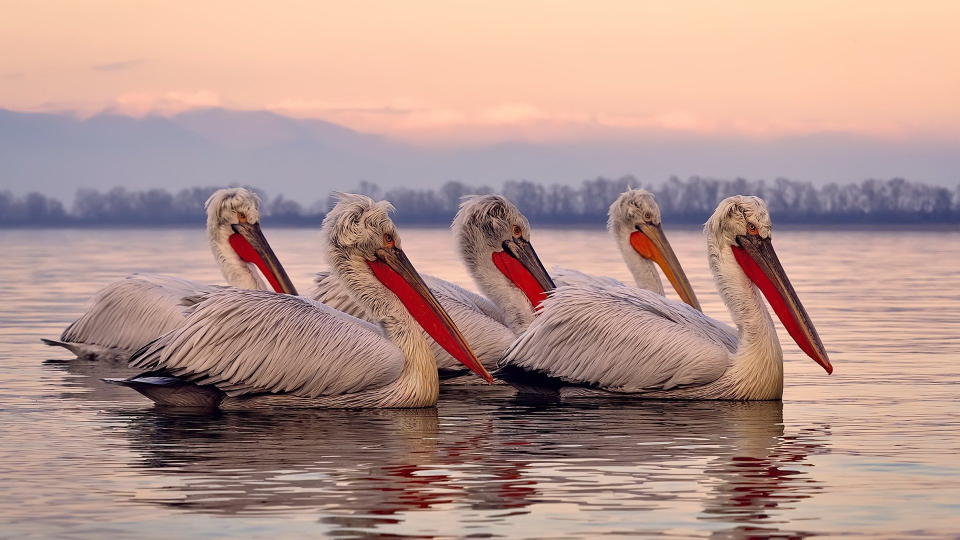 北京国安连胜济南鲁能,欲逆袭中超榜,北京国安vs山东鲁能历史战绩