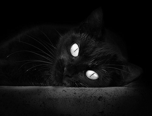 北京国安锋线射手进球数攀升,北京国安巅峰时期