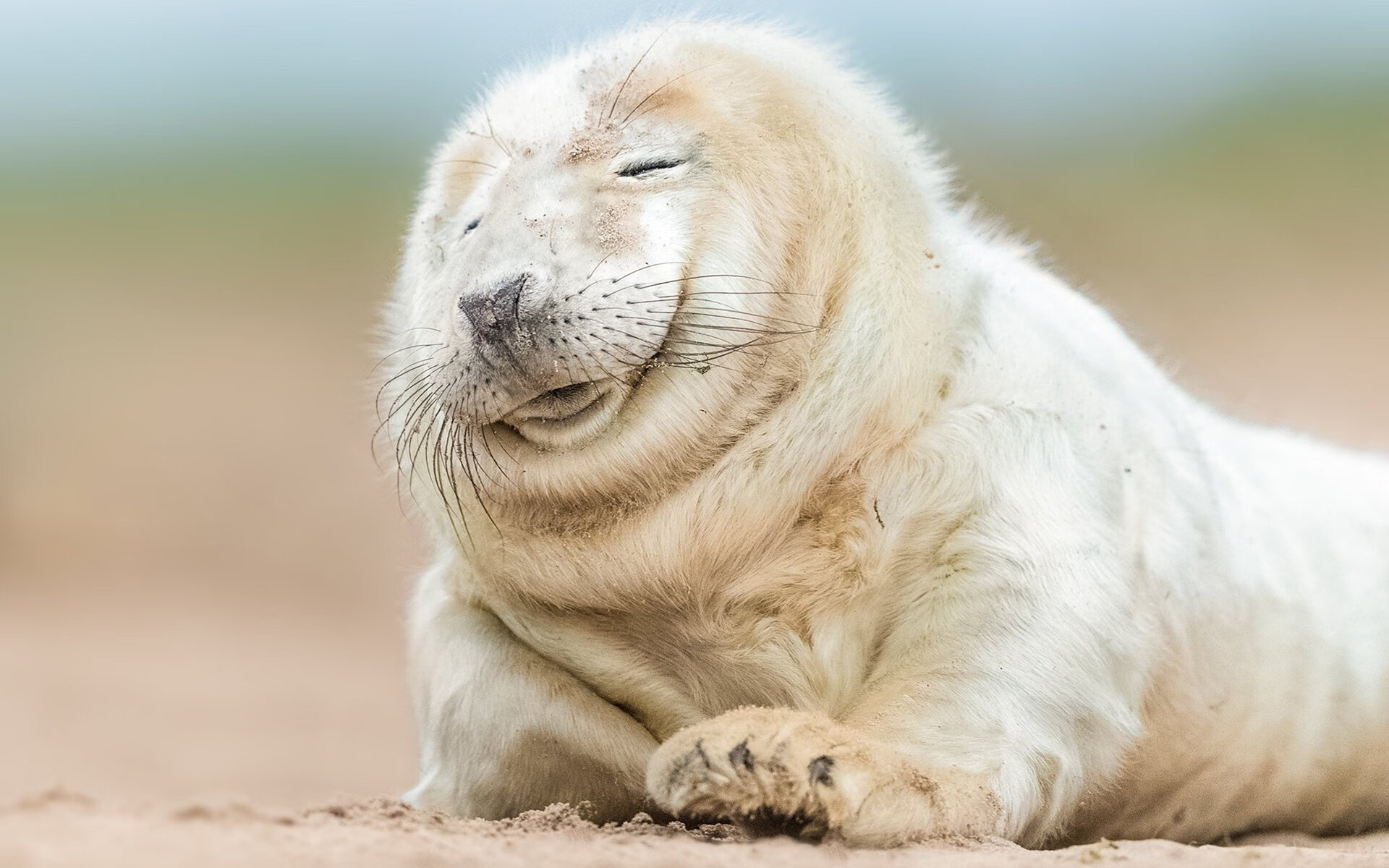 乐鱼官网-激烈电竞冠军争夺战落下帷幕，激烈电竞冠军争夺战落下帷幕的是谁