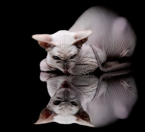 瓦伦西亚在客场以102-99险胜特内里费,Jean Montero贡献24分,继续追赶第二名的排名。