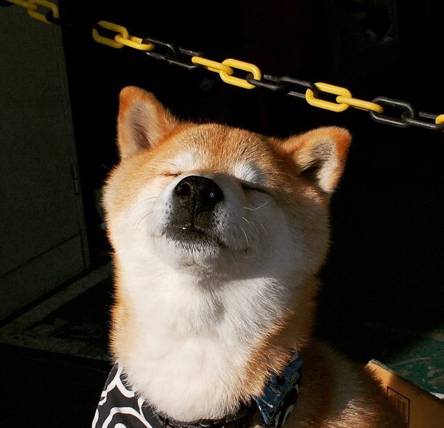 中国足球各级别教练执教风格雷达图,中国足球教练组成员