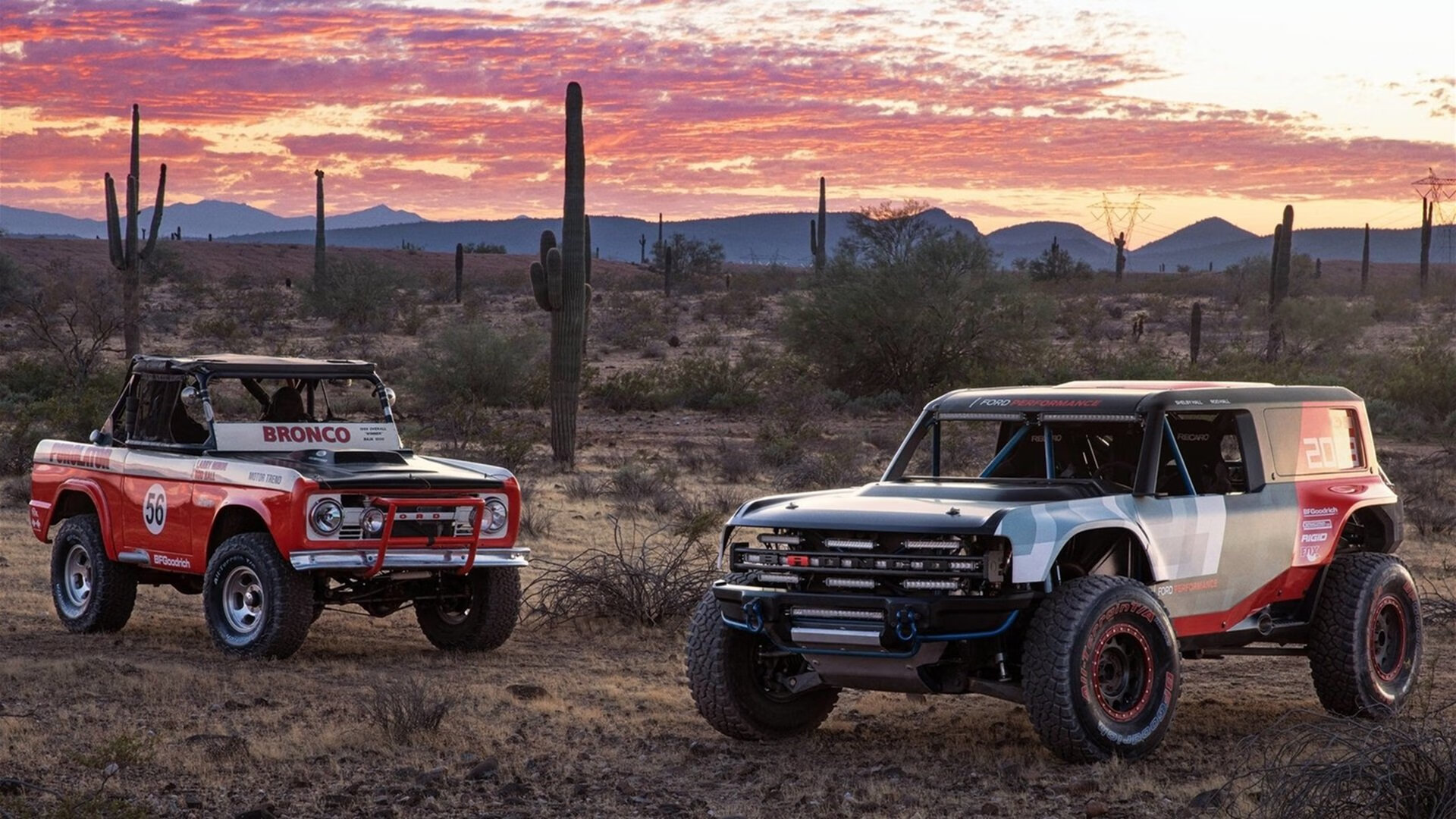 2024年德国队表现:如何在世界杯上展现高水平,德国队14年