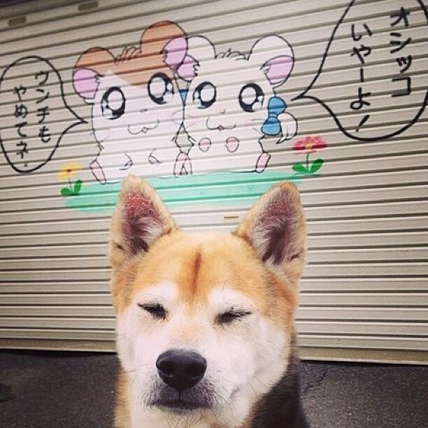 中国三人篮球队快速反击成制胜法宝，中国三人篮球什么意思