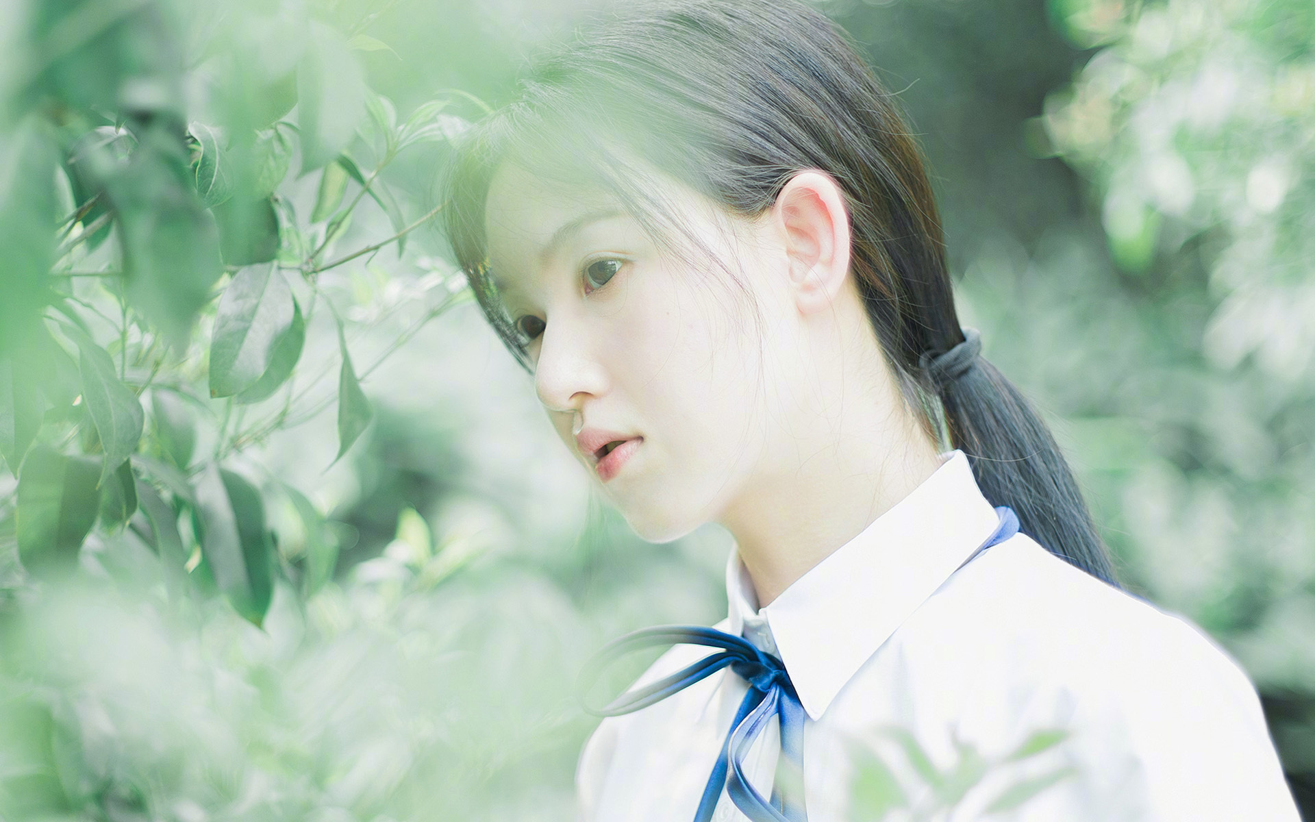 亚冠联赛中国队逆袭 球员精神面貌大增,亚冠中国队名单