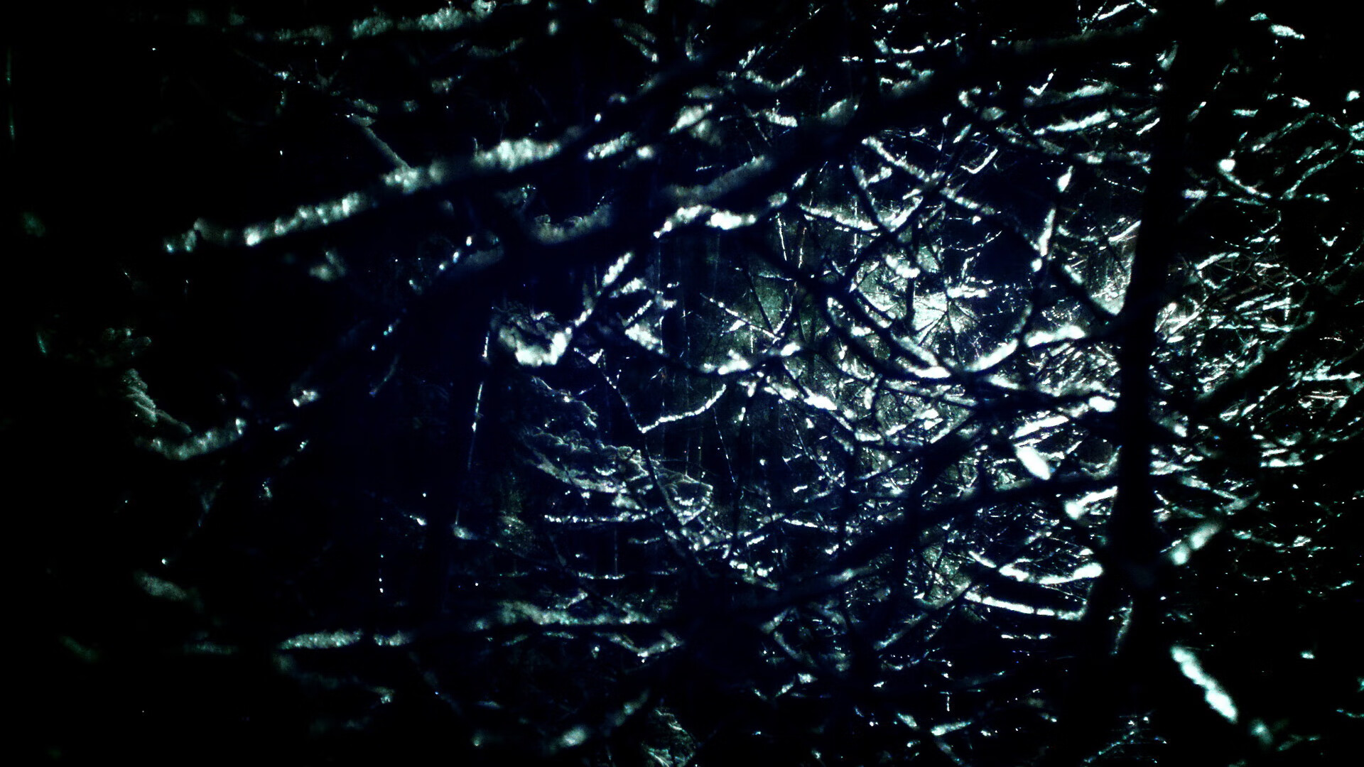 乐鱼体育App下载-奥预赛中国女足战胜 球迷支持球队努力，中国女足球奥运会预选赛赛程时间表