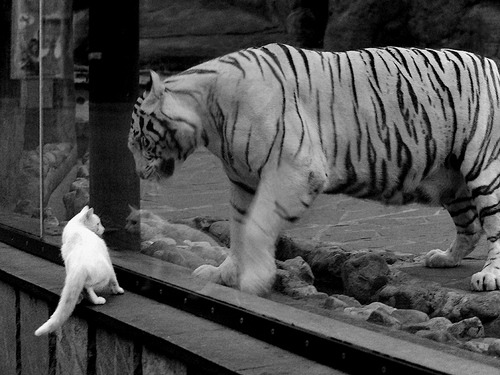 深圳领航队积极沟通建立场上默契基础，深圳领航青年队