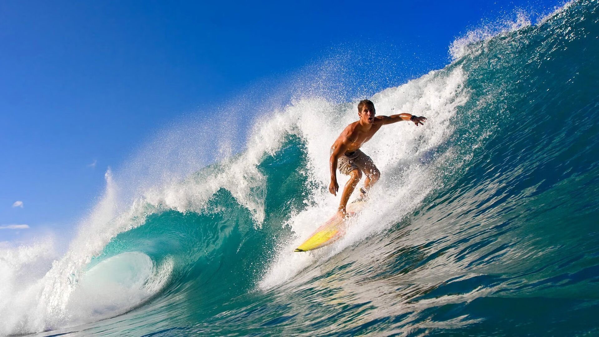 乐鱼电竞在线平台-欧冠门将的“铁壁”防线，记录统计盘点，欧冠门神
